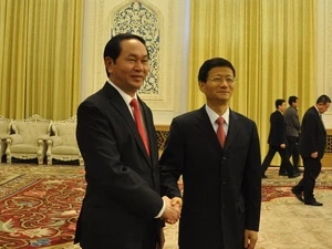 越南与中国加强防范和打击犯罪的合作 